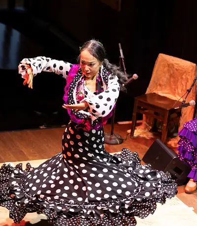 A flamenco dancer mid-performance wearing a traditional black and white polka dot dress (traje de flamenca) with ruffles, spinning in a dramatic pose on stage.