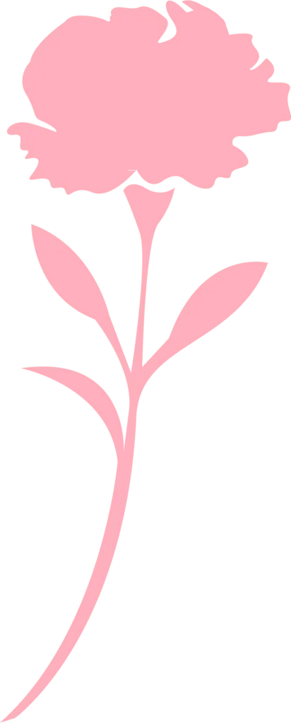 Pink flower
